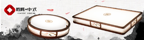 茯昕照明