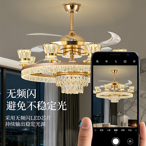 茯昕照明